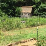 Russell Mtn Farm & Orchard - @russellmountainfarmandorchard - Instagram