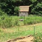 Russell Mtn Farm & Orchard - @russellmountainfarmandorchard - Instagram