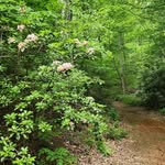 @russells.little.mountain - Instagram
