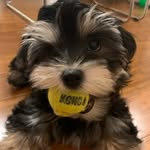 russell elliott o’donnell - @littlerussy - Instagram