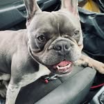 Ruso Oswld - @russelloswald_ - Instagram
