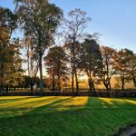 Russell Penman - @rtpservicesscotlandltd - Instagram