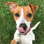 Pepper Russell - @pepperrussell20 - Instagram