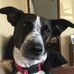 Pepper Russell - Facebook