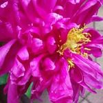 raymond.russell - @raymond.russell - Instagram