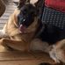 Russ Reimer - Facebook