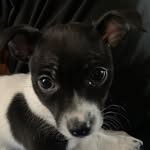 Russell Reimer - @reimer.russell - Instagram