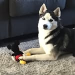 Russell W Ridgeway - @gamerxinix - Instagram