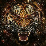 Russell Ridley - @russellridley - Instagram