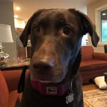 Russell Rigby - @themightyyak - Instagram
