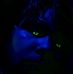 Russell Rhoads - Facebook