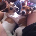 Russell Savage - @russell5529 - Instagram