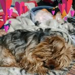 Robin Sears Russell - Facebook