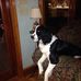 Russell Seifert - Facebook