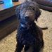 Russell Sharp - Facebook