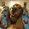 russellshippeecorp - @russellshippeecorp - TikTok
