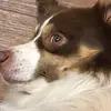 russellsmiley4 - @russellsmiley4 - TikTok