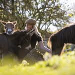 Hannah Russell Author  | Best Selling Author | County Life ✨🐴 - @authorhannahrussell - Instagram
