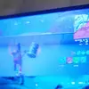 Russell Sparrow397 - @fortnite..qt3 - TikTok