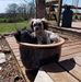 Russ Steen - Facebook