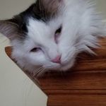 Russell Steen - @steen2864 - Instagram