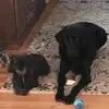 Leisa Russell Stein - @leisa.russell.ste - TikTok