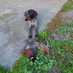 Russell Stein - @russellstein68 - Instagram