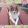 russellstoll2 - @russellstoll2 - TikTok