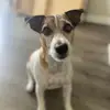 Astro The Russell - @astrotherussell - TikTok