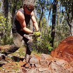 Stumpy Russell - @woodstump_russell - Instagram