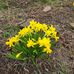 Rustie Talbott-Dowdell - Facebook