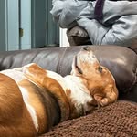 Russell Thurber - @thurberrussell - Instagram