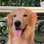 Russell Thurber Lorenzo - @notsosecretlifeofrussell - Instagram