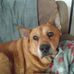 Russell Trask - Facebook