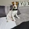 Tyson - @jrusselltyson - TikTok