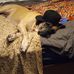 Russell Valley - Facebook