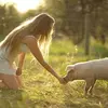 Russell Valley Ranch - @russellvalleyranch - TikTok