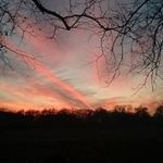 Russell Wagner - @wagner_russell - Instagram