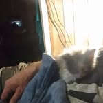 russell whiteman - @whitemanrussell67 - Instagram
