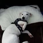 Russell Whyte - @whyte.russell - Instagram