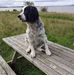 Russell Whyte - Facebook