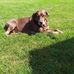 Russell Whyte - Facebook