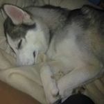 Russell Wicks - @wicksrussell - Instagram