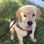 Russell Bonnell - @russell.wildernessexplorer - Instagram