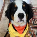 @russell_wildernessexplorer - Instagram