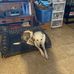 Russell Warner - Facebook