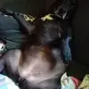Russell Workman - @russell.workman7 - TikTok