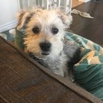 Luke Andrews - @rustyandrews1343 - Instagram