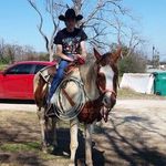 Rusty Andrews - @bigbullrider97 - Instagram