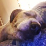 rusty Andrews - @andrews_rusty - Instagram